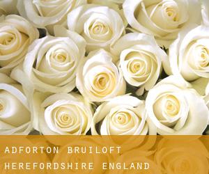 Adforton bruiloft (Herefordshire, England)