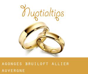 Agonges bruiloft (Allier, Auvergne)