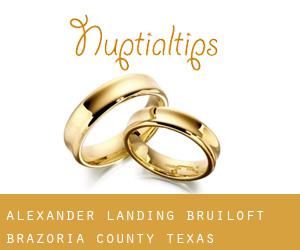 Alexander Landing bruiloft (Brazoria County, Texas)