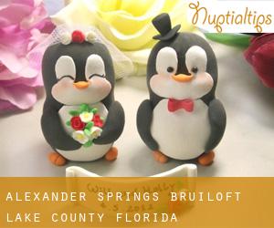 Alexander Springs bruiloft (Lake County, Florida)