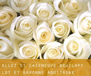 Allez-et-Cazeneuve bruiloft (Lot-et-Garonne, Aquitaine)