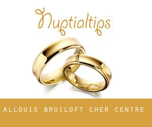 Allouis bruiloft (Cher, Centre)