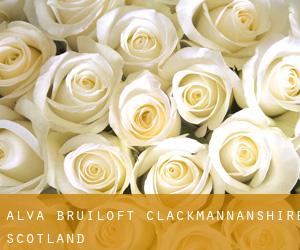 Alva bruiloft (Clackmannanshire, Scotland)