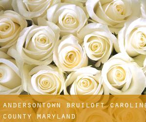 Andersontown bruiloft (Caroline County, Maryland)