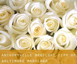 Anthonyville bruiloft (City of Baltimore, Maryland)
