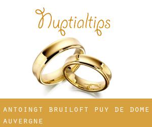 Antoingt bruiloft (Puy-de-Dôme, Auvergne)