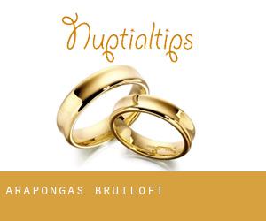 Arapongas bruiloft
