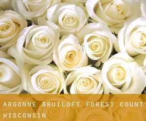 Argonne bruiloft (Forest County, Wisconsin)