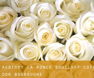 Aubigny-la-Ronce bruiloft (Cote d'Or, Bourgogne)