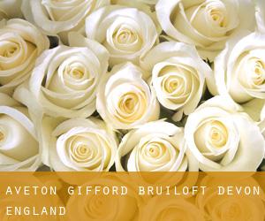 Aveton Gifford bruiloft (Devon, England)