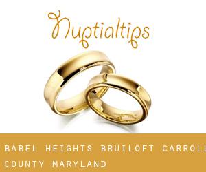 Babel Heights bruiloft (Carroll County, Maryland)
