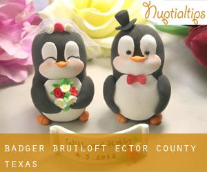 Badger bruiloft (Ector County, Texas)