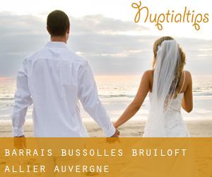 Barrais-Bussolles bruiloft (Allier, Auvergne)