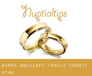 Barro bruiloft (Tooele County, Utah)