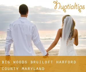Big Woods bruiloft (Harford County, Maryland)