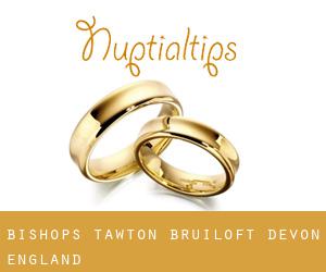 Bishops Tawton bruiloft (Devon, England)