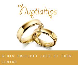 Blois bruiloft (Loir-et-Cher, Centre)