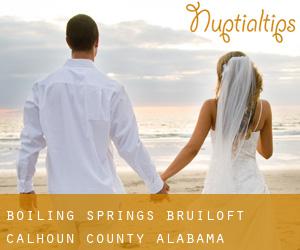 Boiling Springs bruiloft (Calhoun County, Alabama)