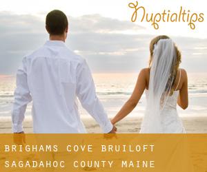 Brighams Cove bruiloft (Sagadahoc County, Maine)