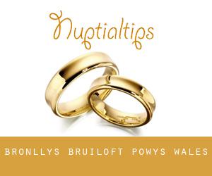 Bronllys bruiloft (Powys, Wales)