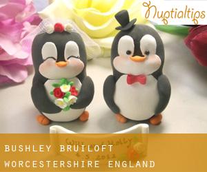 Bushley bruiloft (Worcestershire, England)