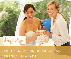 Huwelijksplanner in Cedar Springs (Alabama)
