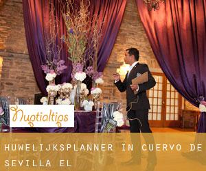 Huwelijksplanner in Cuervo de Sevilla (El)