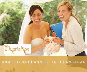 Huwelijksplanner in Llanharan