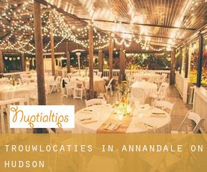 Trouwlocaties in Annandale-on-Hudson