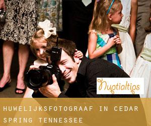 Huwelijksfotograaf in Cedar Spring (Tennessee)