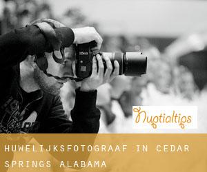 Huwelijksfotograaf in Cedar Springs (Alabama)