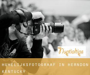 Huwelijksfotograaf in Herndon (Kentucky)