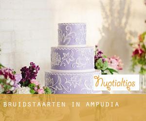 Bruidstaarten in Ampudia