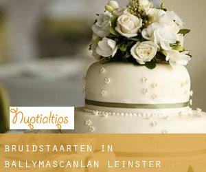 Bruidstaarten in Ballymascanlan (Leinster)