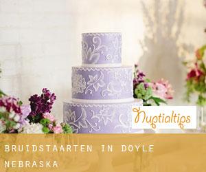 Bruidstaarten in Doyle (Nebraska)