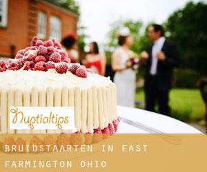 Bruidstaarten in East Farmington (Ohio)