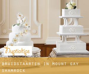 Bruidstaarten in Mount Gay-Shamrock