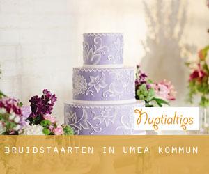 Bruidstaarten in Umeå Kommun