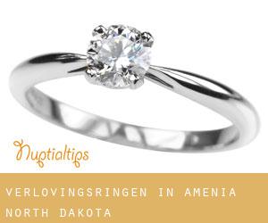 Verlovingsringen in Amenia (North Dakota)