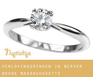 Verlovingsringen in Beaver Brook (Massachusetts)