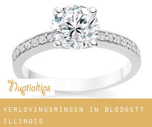 Verlovingsringen in Blodgett (Illinois)