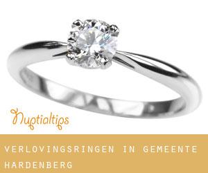 Verlovingsringen in Gemeente Hardenberg