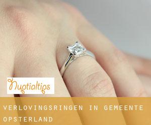 Verlovingsringen in Gemeente Opsterland