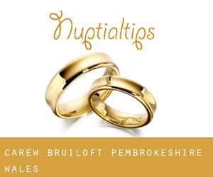 Carew bruiloft (Pembrokeshire, Wales)