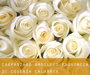 Carpanzano bruiloft (Provincia di Cosenza, Calabria)