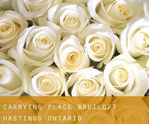 Carrying Place bruiloft (Hastings, Ontario)