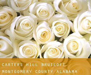 Carters Hill bruiloft (Montgomery County, Alabama)