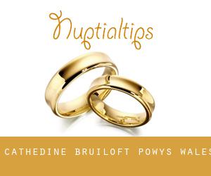 Cathedine bruiloft (Powys, Wales)