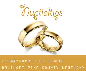 CC Maynards Settlement bruiloft (Pike County, Kentucky)