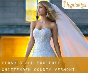 Cedar Beach bruiloft (Chittenden County, Vermont)